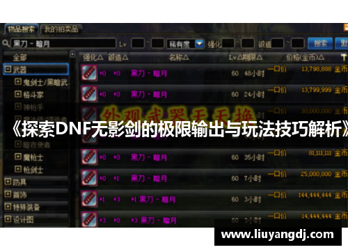 《探索DNF无影剑的极限输出与玩法技巧解析》